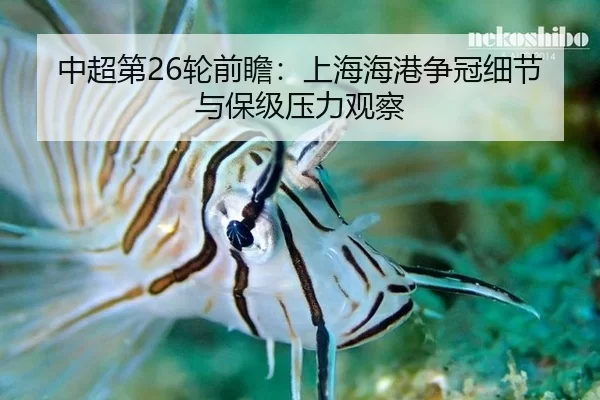 中超第26轮前瞻：上海海港争冠细节与保级压力观察